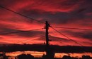 Red Sunset